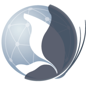 Курс включает в себя: <b>Netty</b> — платформа для разработки эффективных и масштабируемых сетевых приложений.